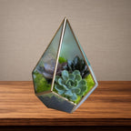 Geometric Succulent Terrarium