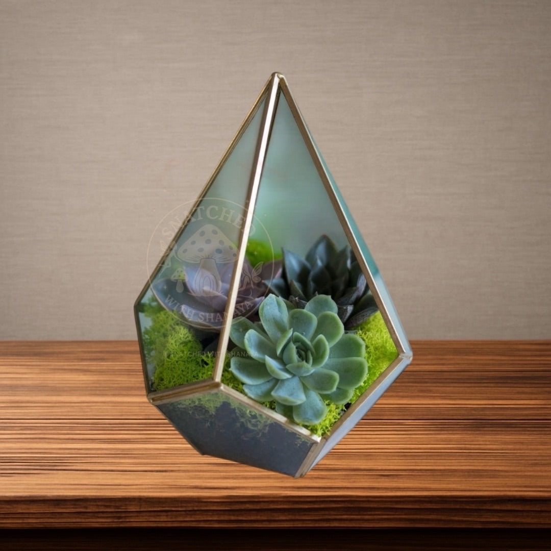 Geometric Succulent Terrarium