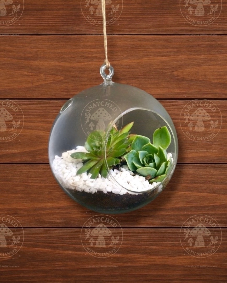 Serenity in Hanging Globe