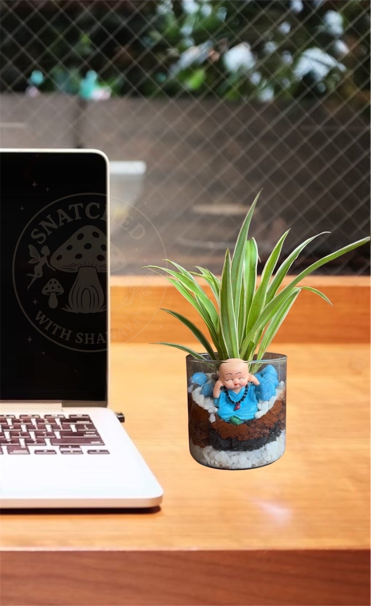 Laughing Buddha Terrarium