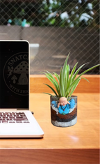 Laughing Buddha Terrarium