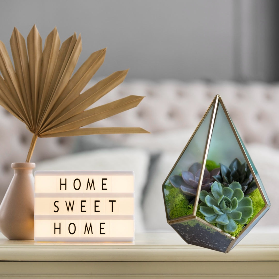 Geometric Succulent Terrarium