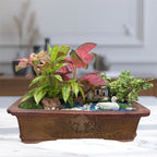 MotherDuck and Pixie Terrarium