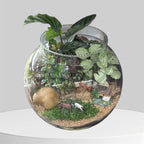 Old Macdonalds Had a Farm