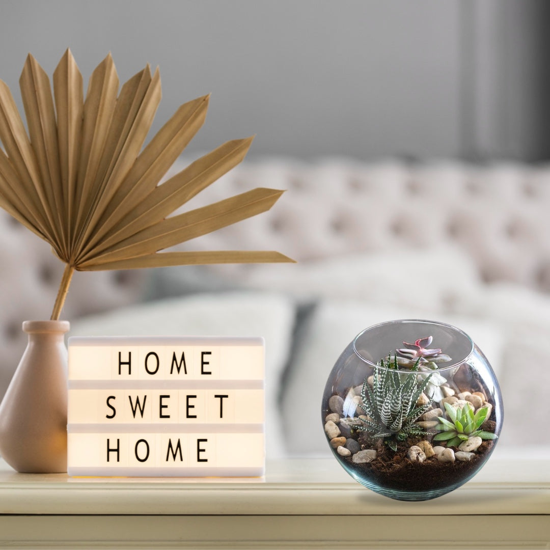 Nature’s Elegance Terrarium