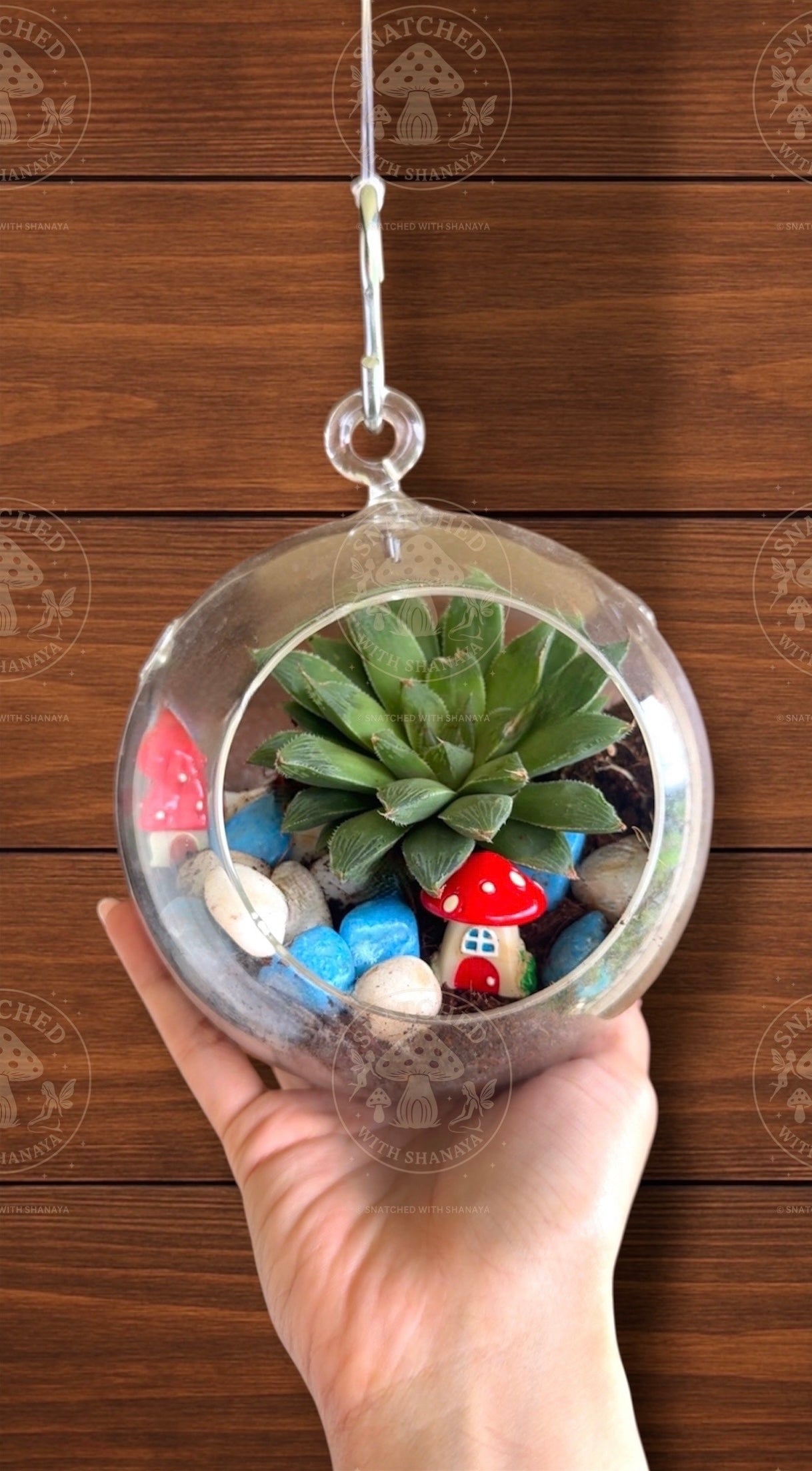 Mushroom Mania Hanging Terrarium