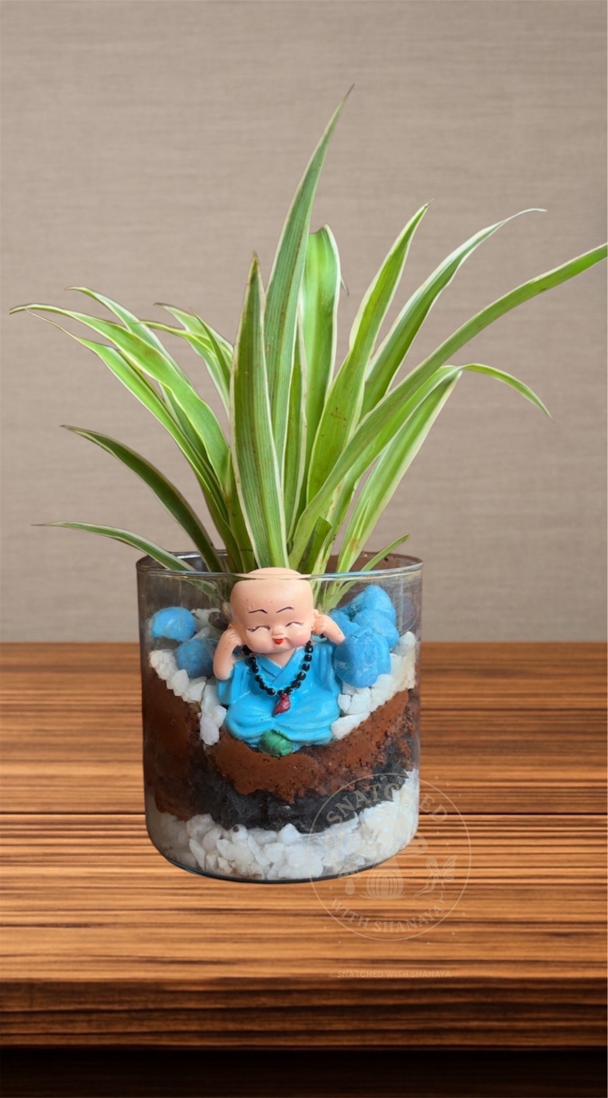 Laughing Buddha Terrarium