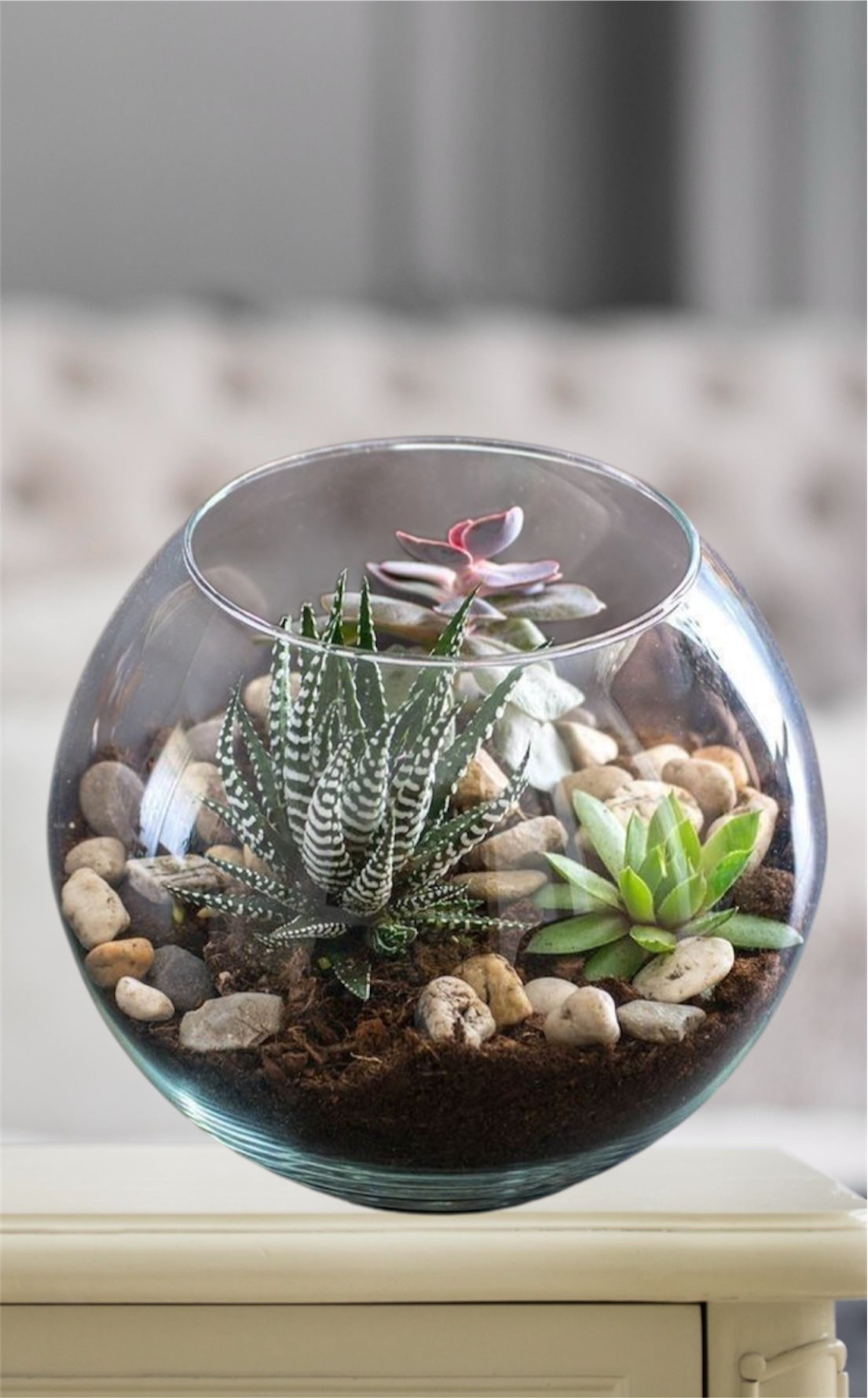 Nature’s Elegance Terrarium