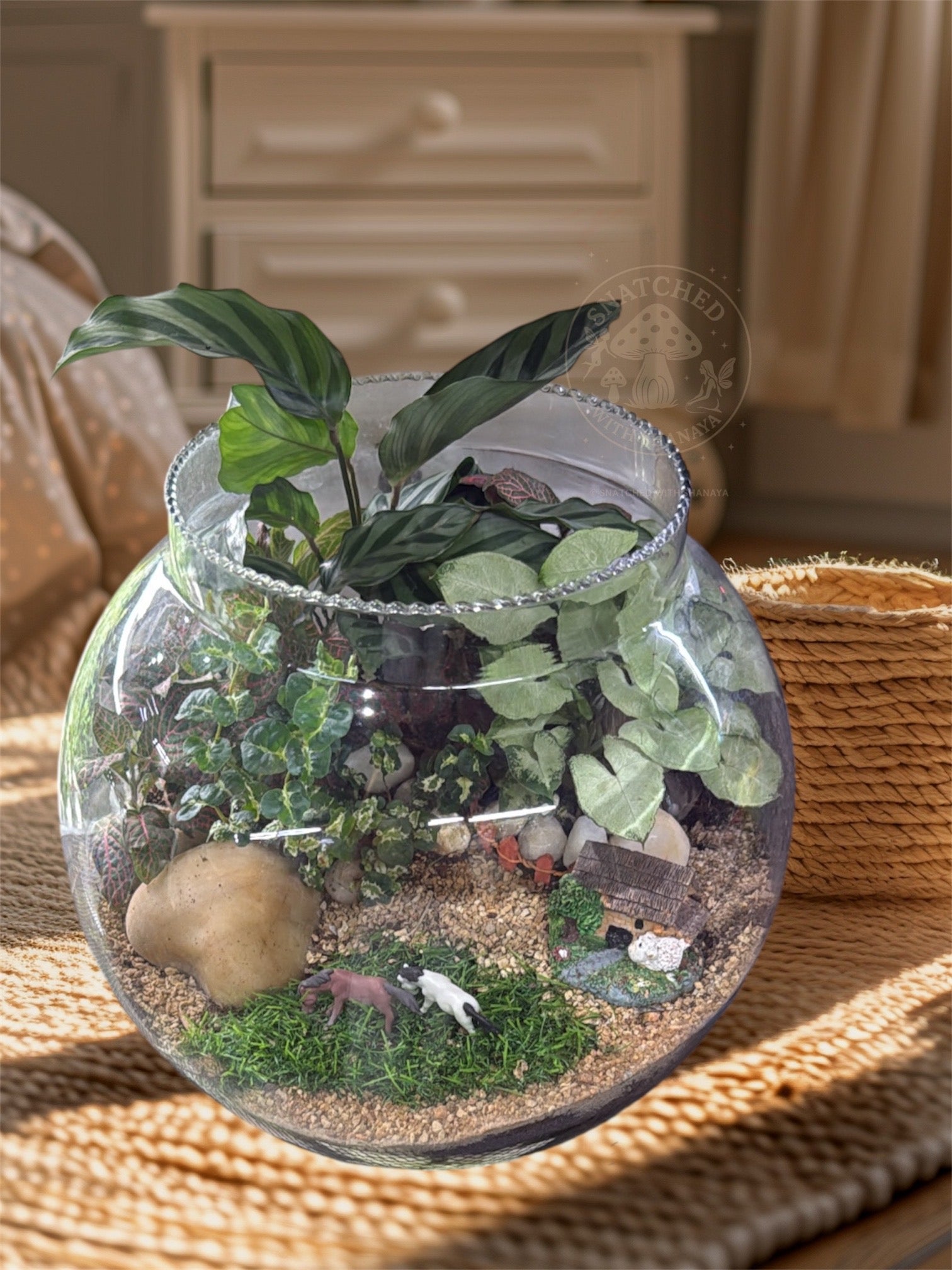 Old Macdonalds Had a Farm