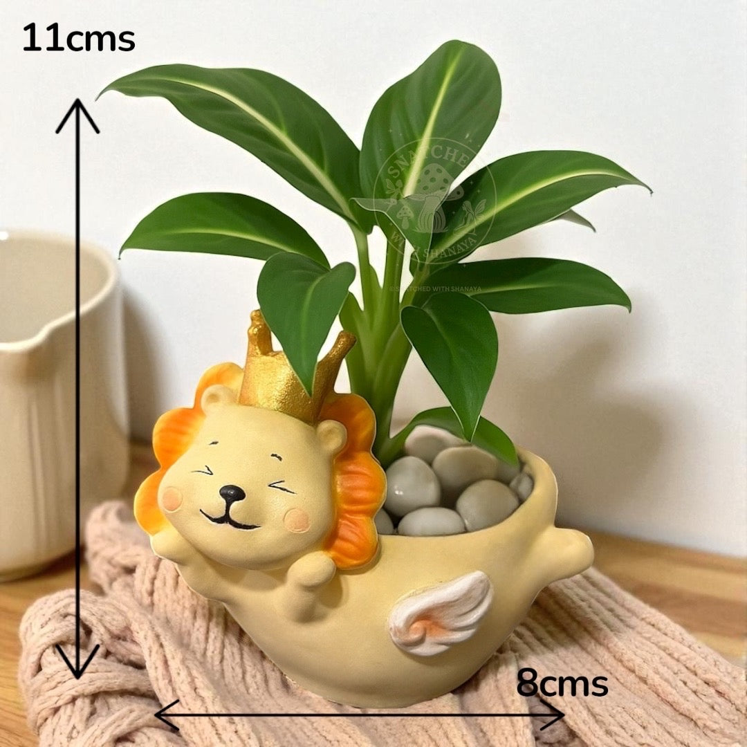 Mighty Lion Planter